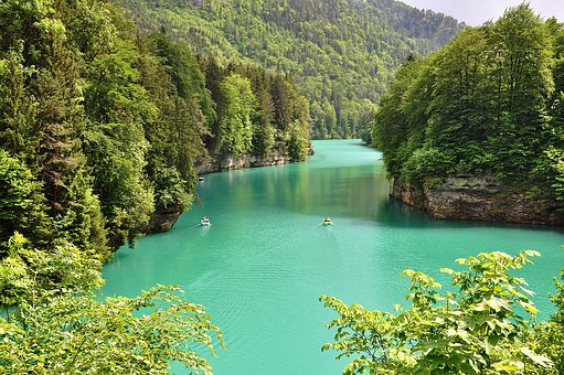 論農村校本課程與生物新課程教材的整合