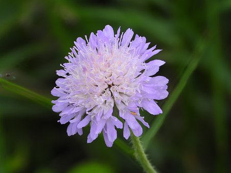 ����(gu��)�ļ��L(zh��ng)��ν�������