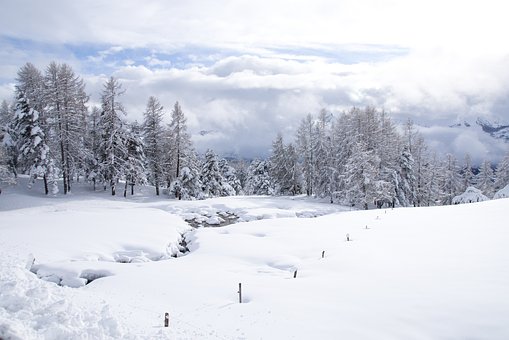 ��������̌WՓ��(5)