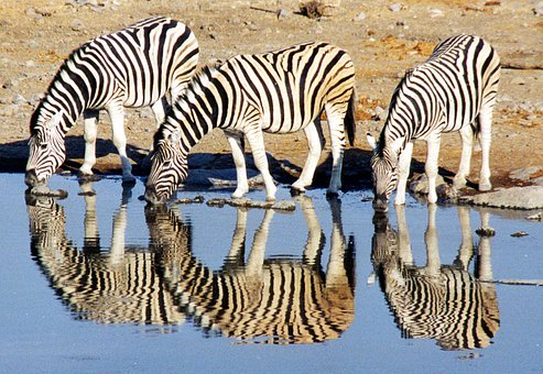 讓孩子自己關(guān)了電視去讀書(shū) 原來(lái)這么簡(jiǎn)單!