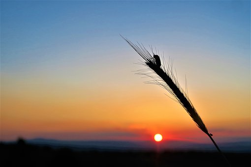 ���л��W�̌W��˼(17)