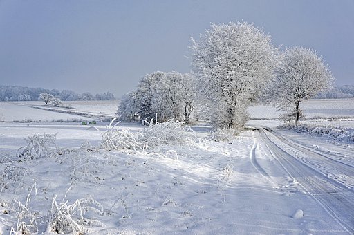 ���к���ͻȻ�����όW(xu��)���@λ���L������ֵ�����и�ĸ��˼