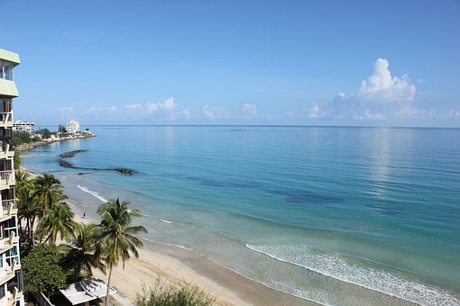 �A(y��)��(x��)���úã��ĳɿ�(j��)��ˣ��������A�W(xu��)�Զ����õ��A(y��)��(x��)����������ȫ���̽o��