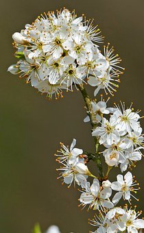 �����ϾW(w��ng)�׼��L��Ҫ�������t