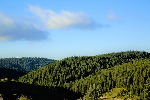 ���������˹�����Դ�ɿ�̖ ��ָ��˽�f�h