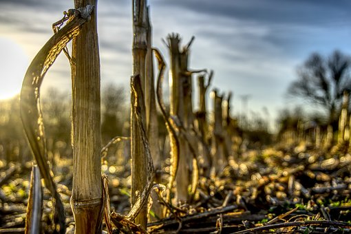 ���Д��W���o���ܿ�ָ�ϣ��@�ױ����������ġ�ͨ�P�ؼ���