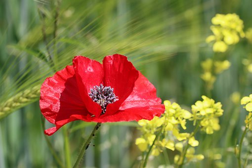 請(qǐng)家教中家長(zhǎng)該怎么和家教老師相互配合?