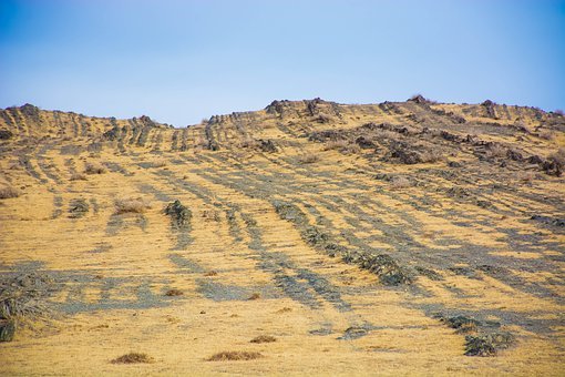 初中英語作文萬能句子素材大全