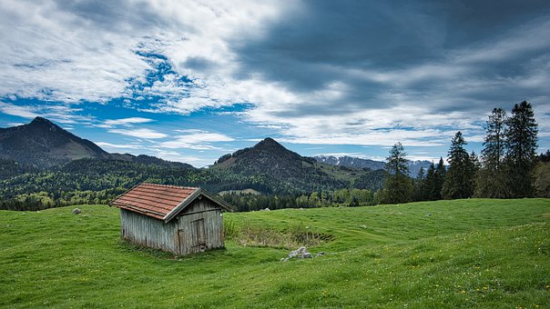 �ЌW(xu��)���������W(xu��)��(x��)�����cС���ɡ���(����