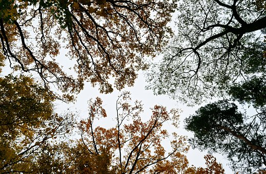 �߿����30�죬��������ĺ��Ĳ����c�����