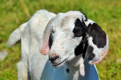 2015�п�ǰ���I(y��)�l(f��)�Ը�-�ҿɐ۵ČW(xu��)��-�༉�W(xu��)��