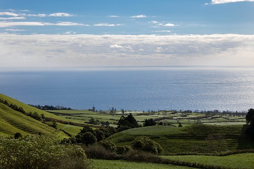 化學(xué)教學(xué)中學(xué)生創(chuàng)新思維能力培養(yǎng)初探