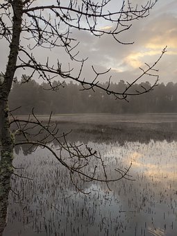 ��ǰ���ԣ�����Ӣ�Z���}˼·���r�g����