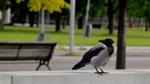 如何促進幼兒園孩子午飯的健康成長