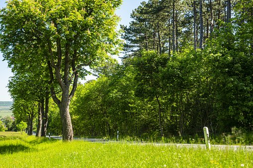 初三寒假指南:用系統化的方法贏得沖刺期最后的關鍵戰役
