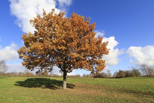 С�W�Z�ď�����򞿂�Yƪ