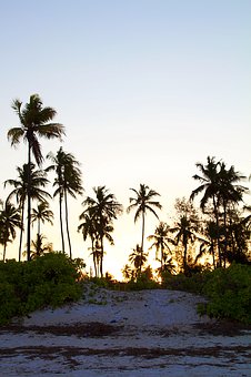 �������Ӳ���ȥ�WУ��ô�k