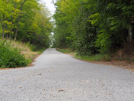 專家:新學期開始是教育孩子最佳時期