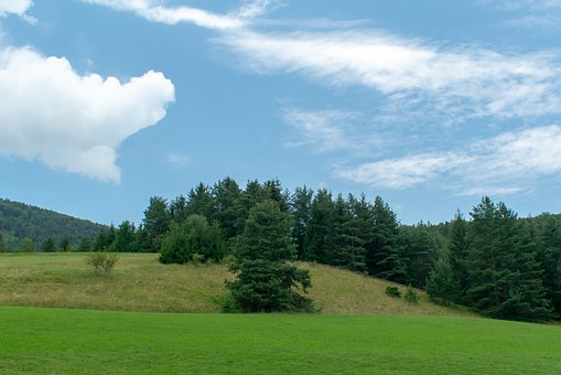 ����Ӣ�Z �������~�����ߵ��M�A֮·��һλ985�W(xu��)�L��Ѫ�I��(j��ng)򞿂�Y(ji��)