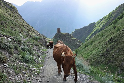 �������ӱ��κι������y�����L�ؿ���