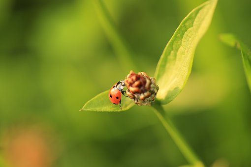 ��Щ�ڸ���һ݆�����б��������_���ĺ����������������@5������