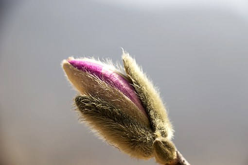 �B��¸�����ԌWǰָ��