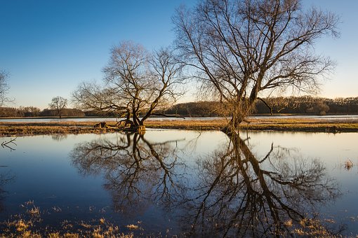 ���Д�(sh��)�W������Щ��Ҋ���\�㼼�ɿ������Ч�ʣ�