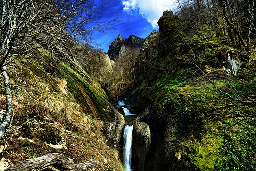 С�W�Z�ČW������������P�I������90%�ļ��L��������