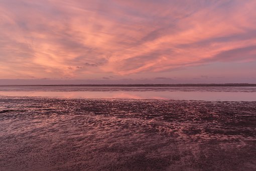 5�иĵ��������e(cu��)�²����J(r��n)�ĉ���(x��)�T