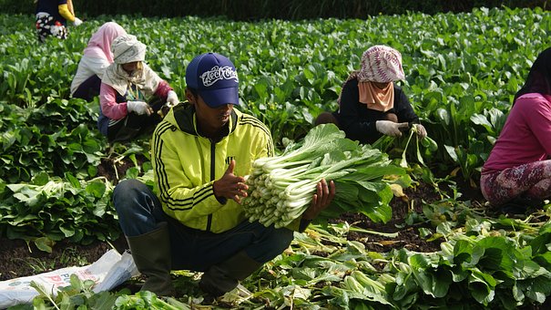 考時裝表演專業 看臉蛋身段還要看牙齒