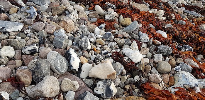 2011��߿��Z��������Ă����