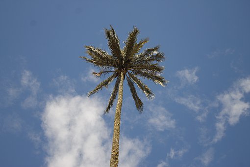 �ɹ��ҽ̆�ʾ�