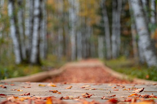 �W(xu��)�Ը��V�������ô��������ɿ�