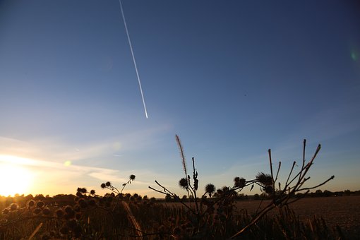 �����F�ڈԳ�