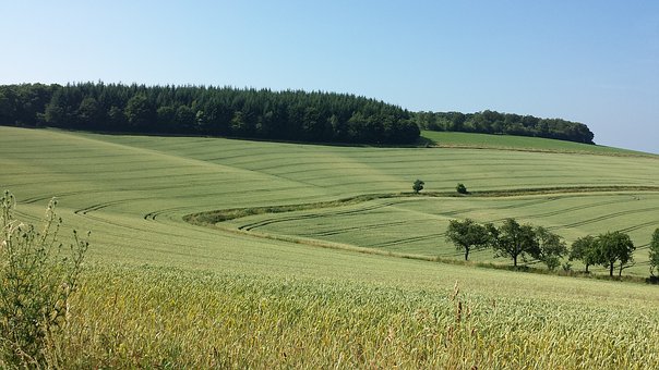 �����o�����п�ʧ��������{���đB
1f66
