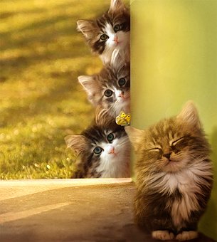 �����������������С�W�������ϾW