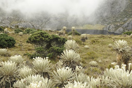 ���п������f�f�҂��ҵĺ�߿��r��