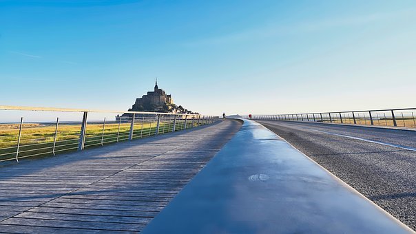高考來臨 備考學生吃香菇可保持大腦清醒