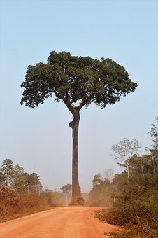 孩子最想要的10種需求您了解多少