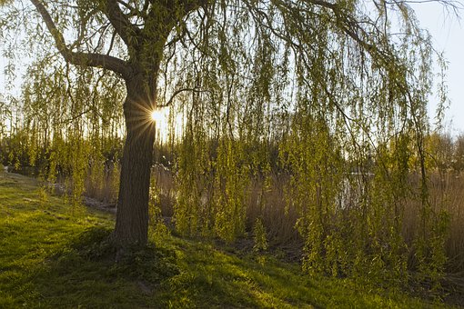 ���L���x�� �f����������һ��Ҫ�˽�İ˷N�ǻ�