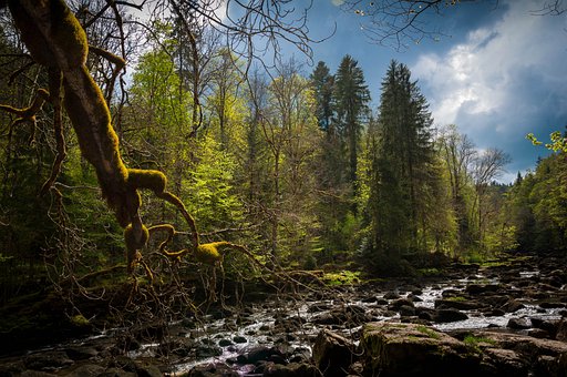 ���L���x��12���B(y��ng)�����옷�ĺ���