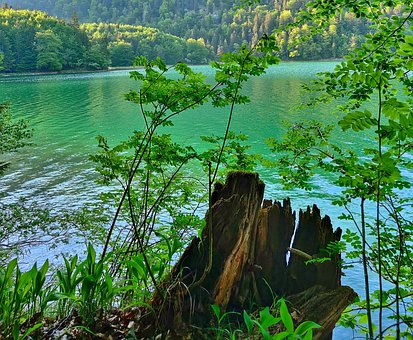 �������W��ĩ���uָ�ϣ�����������Č��ُ�������