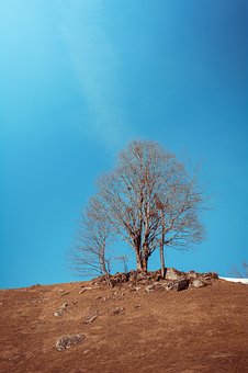 如何幫助孩子提高學(xué)習(xí)成績(jī)