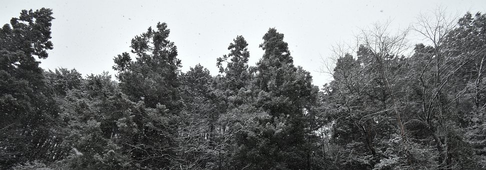 ഺ(yng)(du)֮