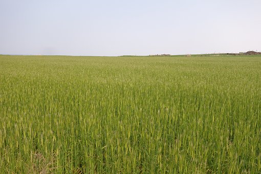 家長(zhǎng)應(yīng)該如何處理孩子在學(xué)校和老師吵架的問(wèn)題