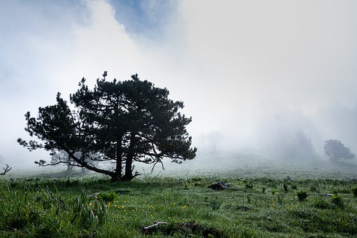 �������}�ٲ����̰�ʾ��