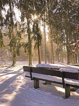 �������سɹ��İ˗l���