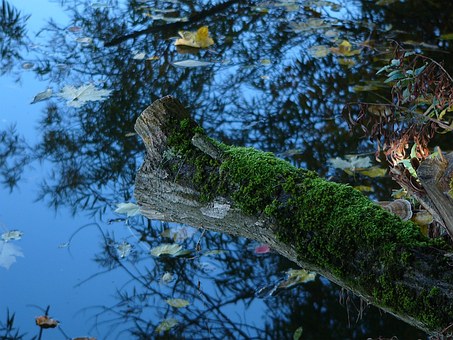 ���Ѕ��W���󣬲�����ĸ��ԓ�x��������