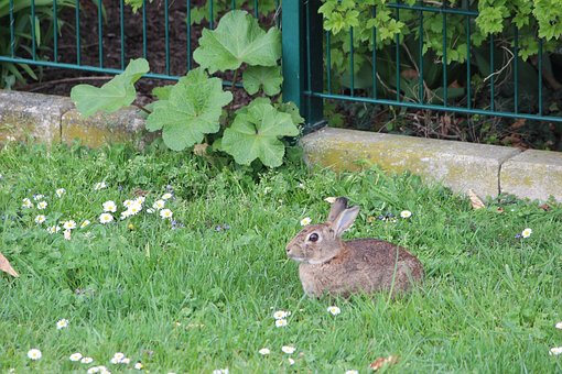 �п������s���ȡ���ܱ��o