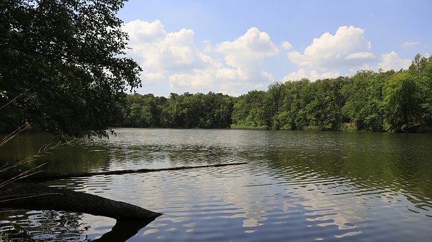 中央戲劇學(xué)院表演專業(yè)考試自然更受考官喜歡